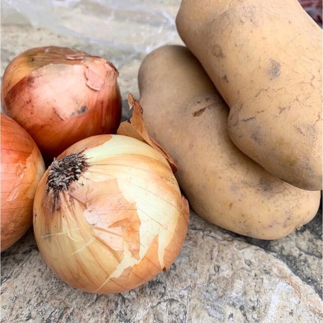 新玉ねぎが入荷しました！人気のお野菜8種セット 食品/飲料/酒の食品(野菜)の商品写真