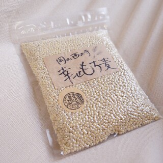 《生産農家直送》岡山西大寺幸せもち麦（キラリモチ精白麦）500ｇ(米/穀物)