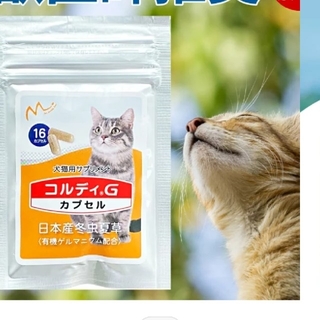 犬猫用サプリメント コルディGカプセル 免疫力アップ  冬虫夏草(その他)