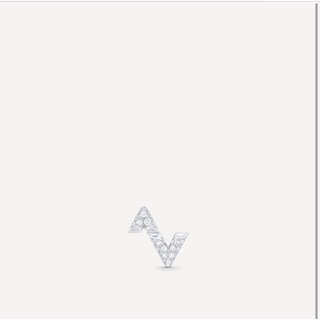 LOUIS VUITTON - マスター