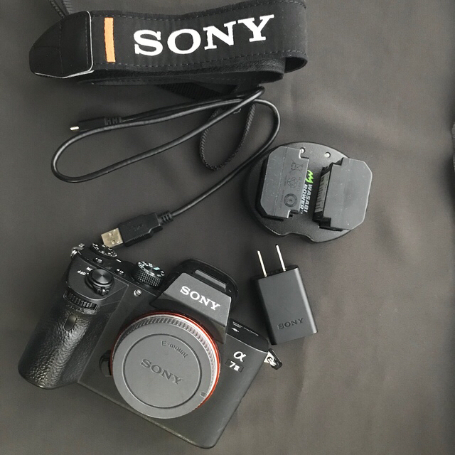 Sony α7 Ⅲ 外国語版