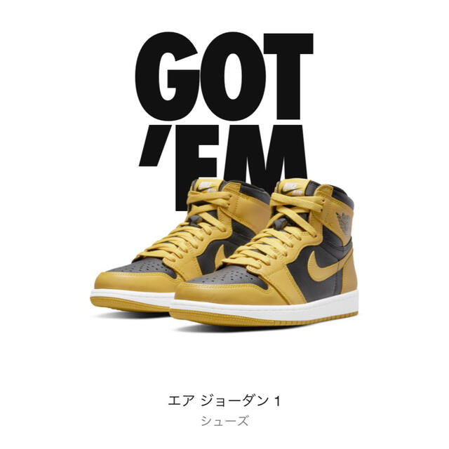 NIKE エアジョーダン1 HIGH OG POLLEN  パラン 26.5cm 6