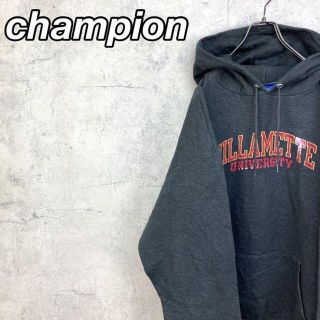 チャンピオン(Champion)の希少 90s チャンピオン パーカー プリント ビッグシルエット 刺繍ロゴ(パーカー)