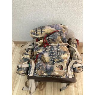 グッチ(Gucci)のTHE NORTH FACE × GUCCI バックパック デイパック　グッチ(バッグパック/リュック)