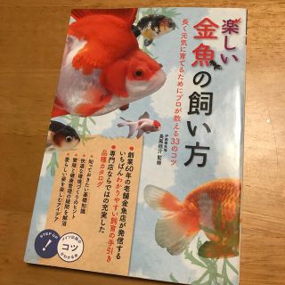 楽しい金魚の飼い方 長く元気に育てるためにプロが教える33のコツ