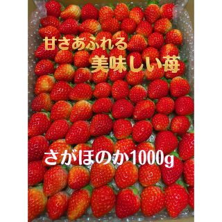 鹿児島県産　さがほのか　いちご狩りセット(フルーツ)