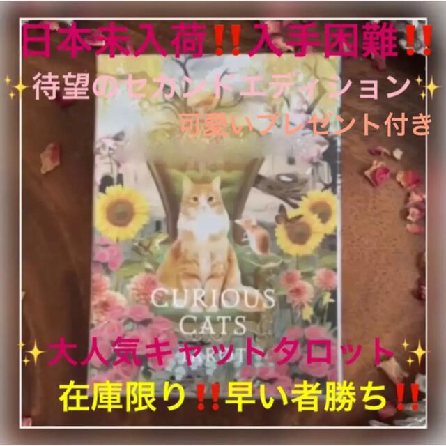 日本未入荷‼️入手困難‼️新作猫タロット⭐️タロットカード