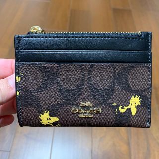 コーチ(COACH)のレア　コーチ　パスケース　ウッドストック　スヌーピーコラボ(名刺入れ/定期入れ)