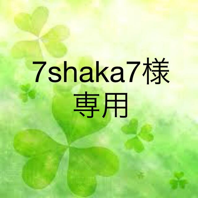 shaka様専用 その他のその他(その他)の商品写真