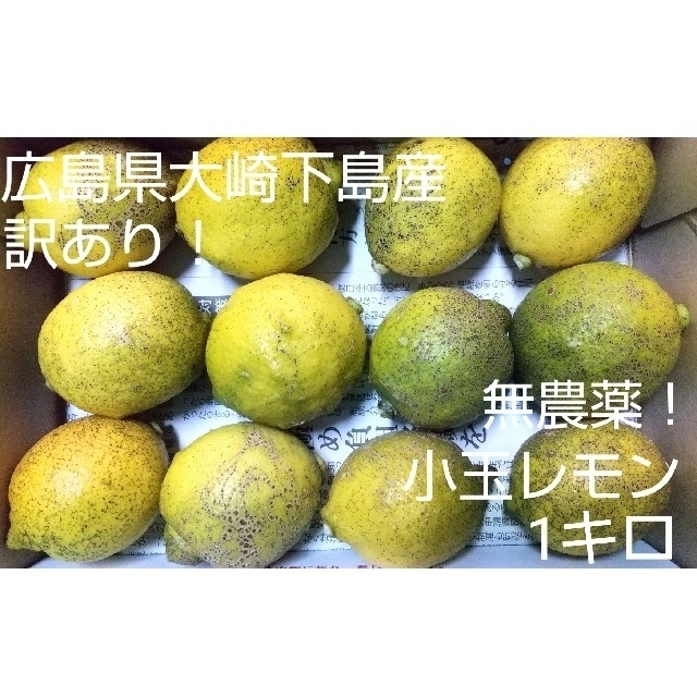 まぁばーちゃん様専用 【小玉!訳あり品】無農薬!特別栽培レモン1キロ