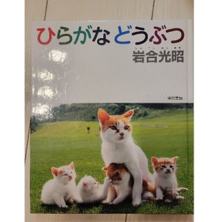 ひらがなどうぶつ　幼稚園　ねこ歩き　岩合(絵本/児童書)