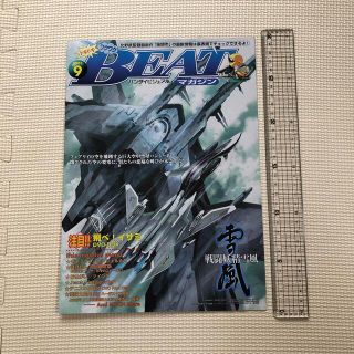 バンダイ(BANDAI)のバンダイビジュアル BEATマガジン★小冊子1冊(アート/エンタメ/ホビー)