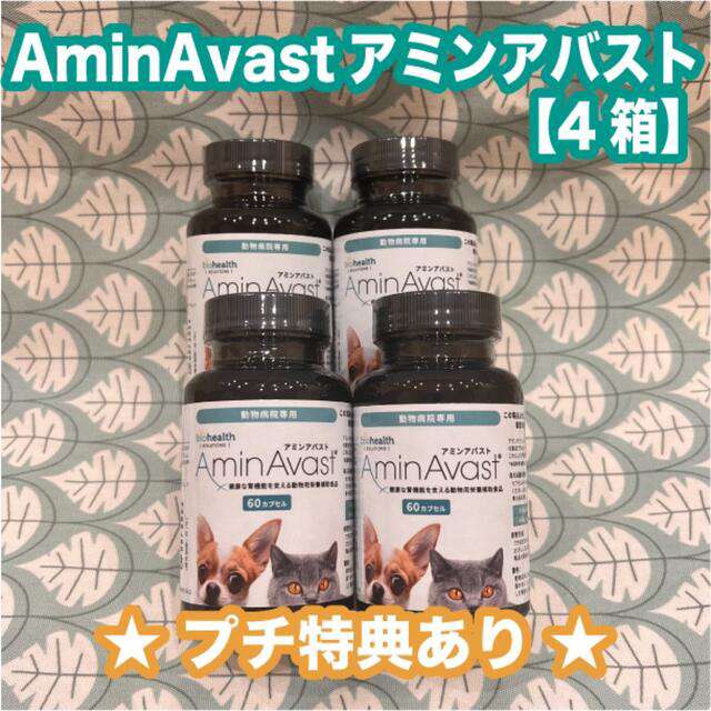 アミンアバスト300mg 60カプセル　4箱〈おまけ付き〉