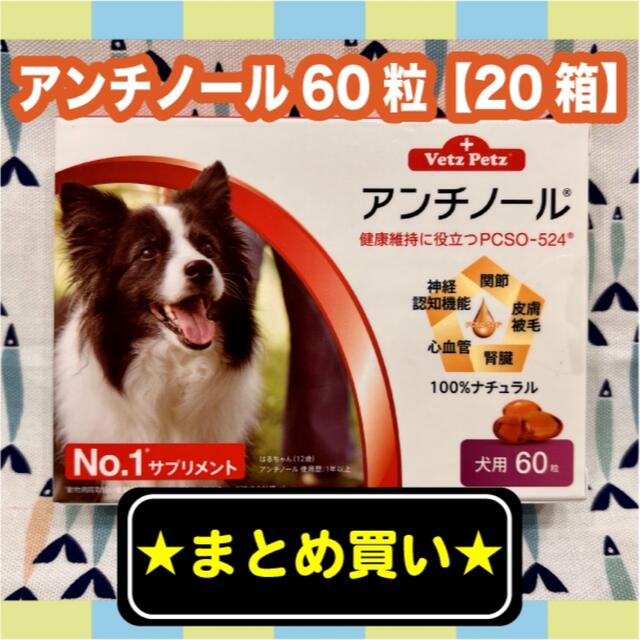 アンチノール　犬用　60粒　20箱セット