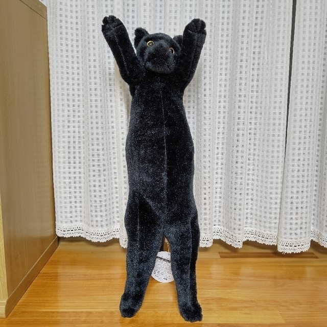たっちいZoo にゃんこ (黒猫) エンタメ/ホビーのおもちゃ/ぬいぐるみ(ぬいぐるみ)の商品写真