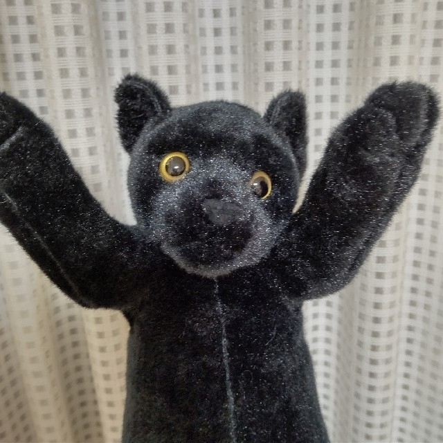 たっちいZoo にゃんこ (黒猫) エンタメ/ホビーのおもちゃ/ぬいぐるみ(ぬいぐるみ)の商品写真