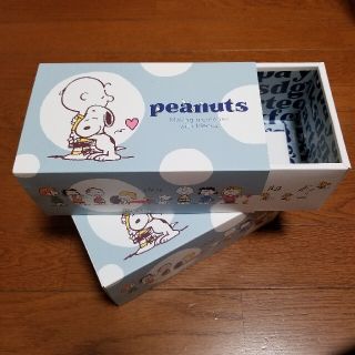 スヌーピー(SNOOPY)の空箱 2個 スヌーピー マスクケース(小物入れ)