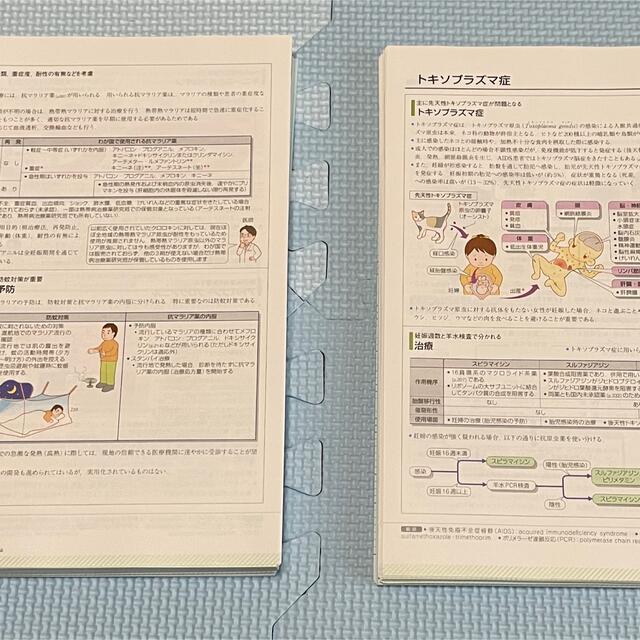 薬がみえる　３巻セット【裁断済み】 エンタメ/ホビーの本(健康/医学)の商品写真