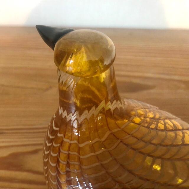 iittala(イッタラ)のoiva toikka :オイヴァトイッカ Golden Cuckoo イッタラ エンタメ/ホビーの美術品/アンティーク(ガラス)の商品写真