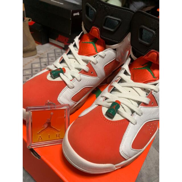 Nike Air Jordan 6 “Gatorade”