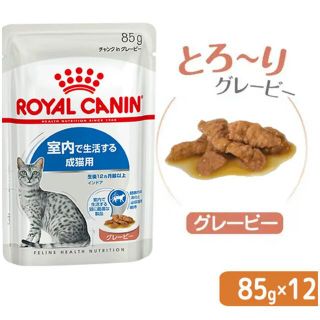 ロイヤルカナン(ROYAL CANIN)のロイヤルカナン　インドア グレービー(猫)