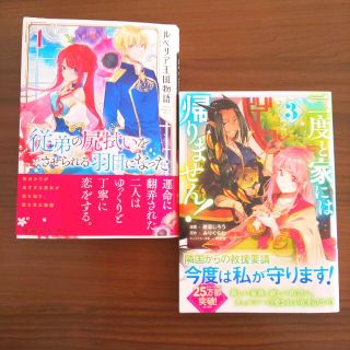 二度と家には帰りません！ ３ ＆ ルベリア王国物語 セット☆(青年漫画)