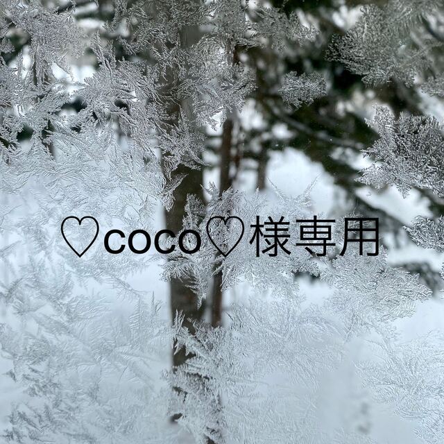 Coco＊様専用