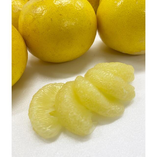 営業 お買い得 高知特産 露地栽培 土佐文旦 3L〜4L約10㎏ 文旦 pantum.rs