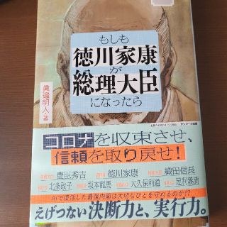 もしも徳川家康が総理大臣になったら ビジネス小説(その他)