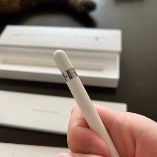 Apple - Apple Pencil 第1世代 iPad Pro 第9世代 iPad おまけの通販 by