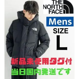 THE NORTH FACE - レアモデル☆新品タグ付き☆THE NORTH FACEダウン THE NORTH FACE - レアモデル☆新品タグ付き☆THE NORTH FACEダウン