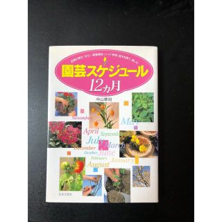 園芸スケジュ－ル１２カ月 ひと目でわかる(趣味/スポーツ/実用)