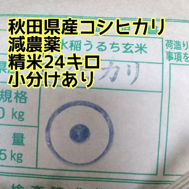 コシヒカリ精米24キロ米/穀物