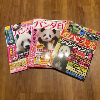 コウブンシャ(光文社)のパンダ雑誌3冊セット(アート/エンタメ/ホビー)