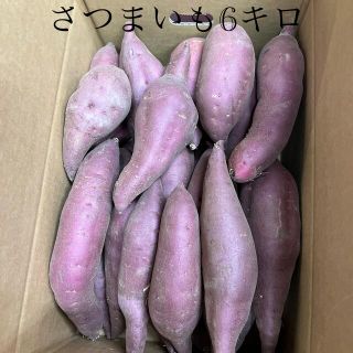 さつまいも6k(野菜)