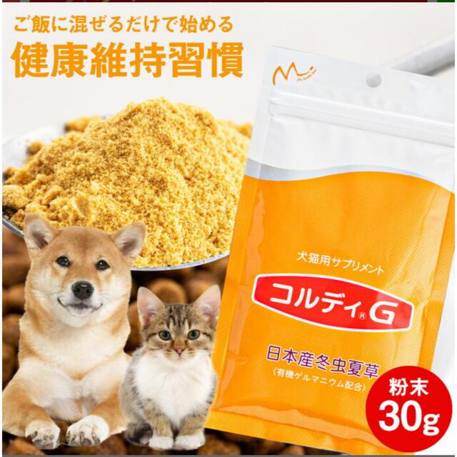 コルディG   免疫力 その他のペット用品(その他)の商品写真