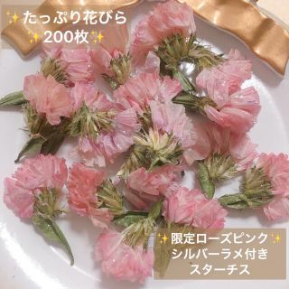 みみみ様専用品(ドライフラワー)