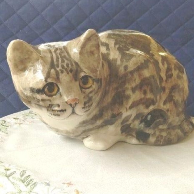 キャット 大きなサイズ5、丸まった猫、ウィンスタンレイキャット ...
