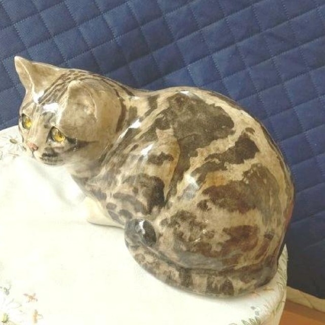 キャット 大きなサイズ5、丸まった猫、ウィンスタンレイキャット
