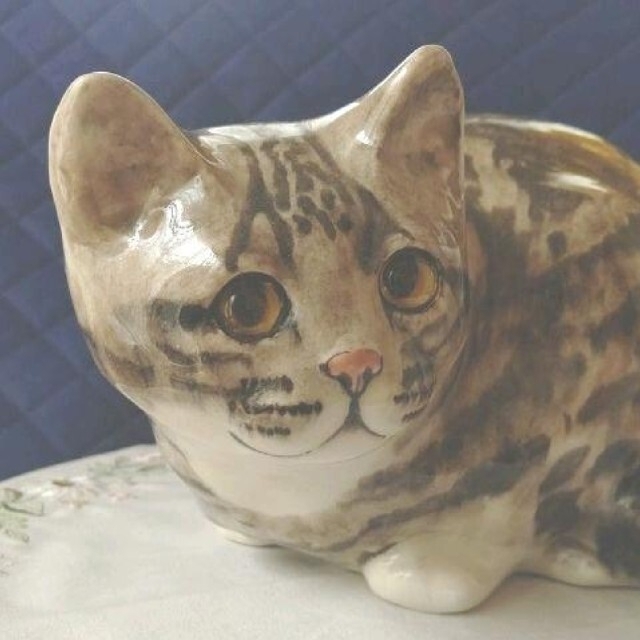 キャット 大きなサイズ5、丸まった猫、ウィンスタンレイキャット ...
