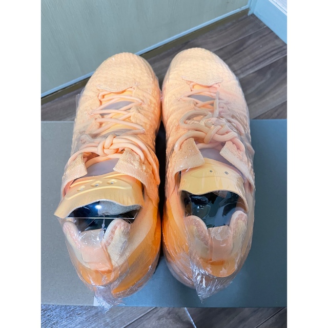 NIKE LEBRON18 レブロン18 メロンティント 25.5cm 再再販 www