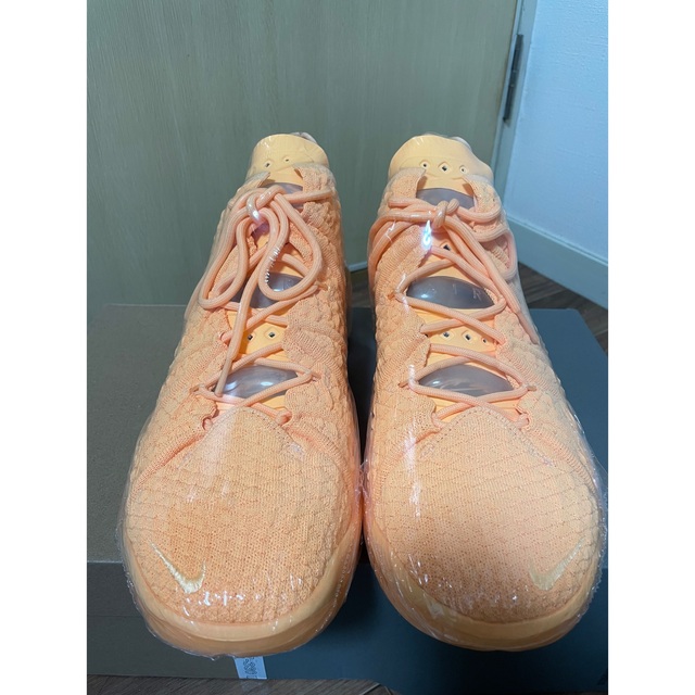 NIKE LEBRON18 レブロン18 メロンティント 25.5cm 再再販 www