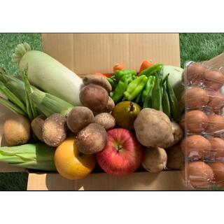 ★80サイズ★ 無農薬新鮮野菜果物+新潟新米セット 10種類(野菜)