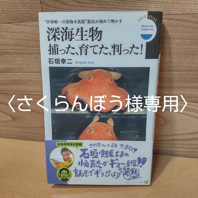 小学館(ショウガクカン)の【深海生物捕った、育てた、判った！】小学館新書　石垣幸ニ エンタメ/ホビーの本(その他)の商品写真