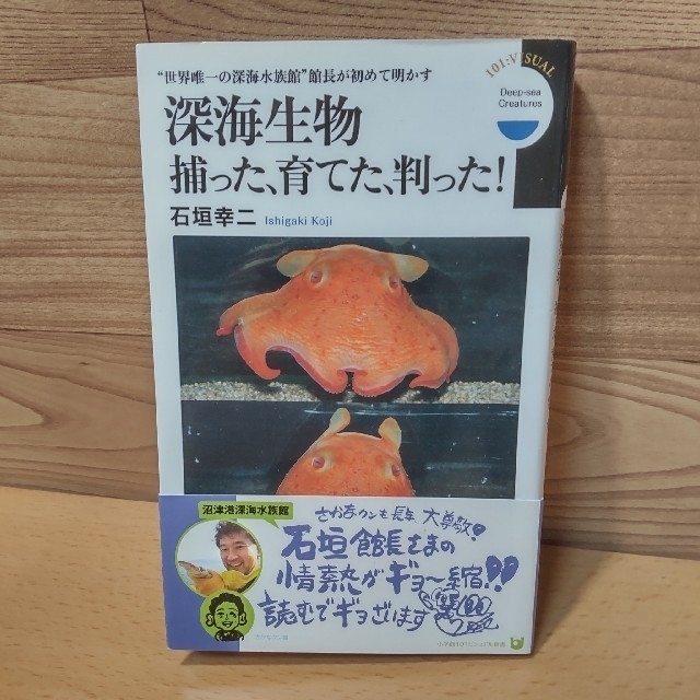 小学館(ショウガクカン)の【深海生物捕った、育てた、判った！】小学館新書　石垣幸ニ エンタメ/ホビーの本(その他)の商品写真