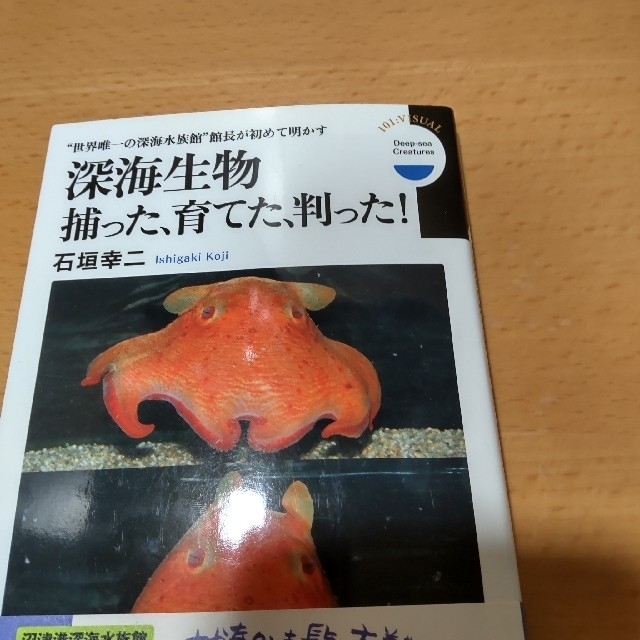 小学館(ショウガクカン)の【深海生物捕った、育てた、判った！】小学館新書　石垣幸ニ エンタメ/ホビーの本(その他)の商品写真