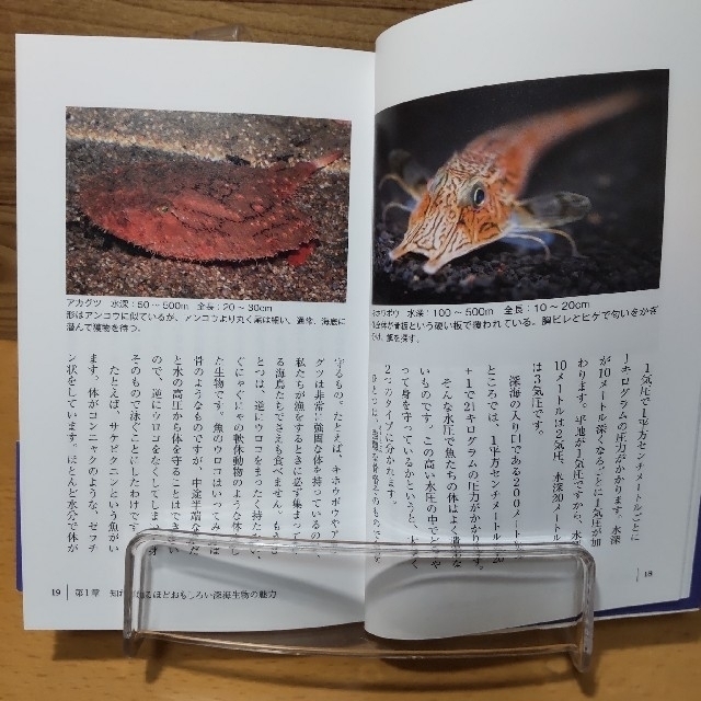 小学館(ショウガクカン)の【深海生物捕った、育てた、判った！】小学館新書　石垣幸ニ エンタメ/ホビーの本(その他)の商品写真