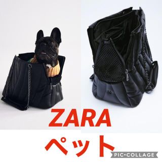 ZARA ザラ　ペット　ペットコレクション　キャリーバッグ