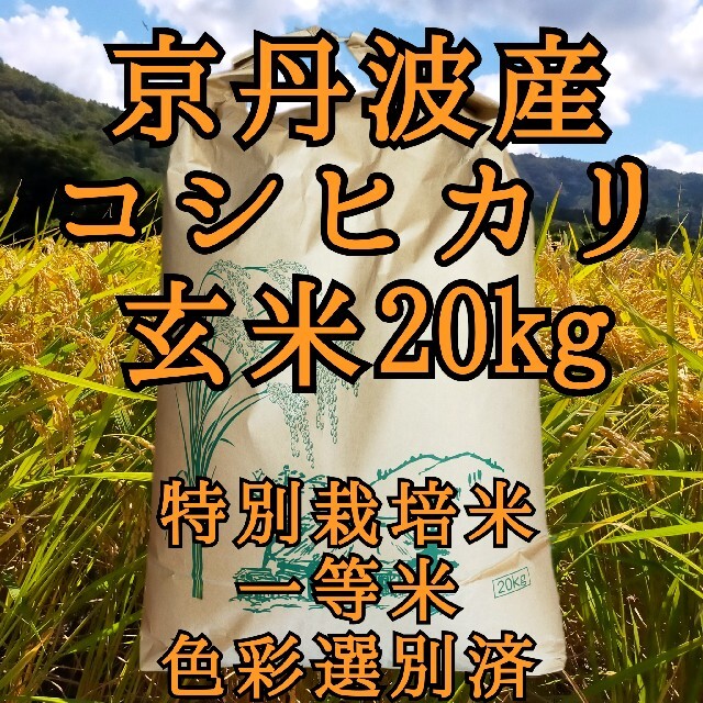 新米コシヒカリ玄米20kg一等米●外箱なし●　令和3年産 京丹波産　玄米20キロ