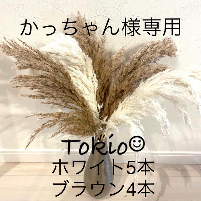パンパスグラス　プルームリード　ホワイト5本・ブラウン4本 ハンドメイドのフラワー/ガーデン(ドライフラワー)の商品写真